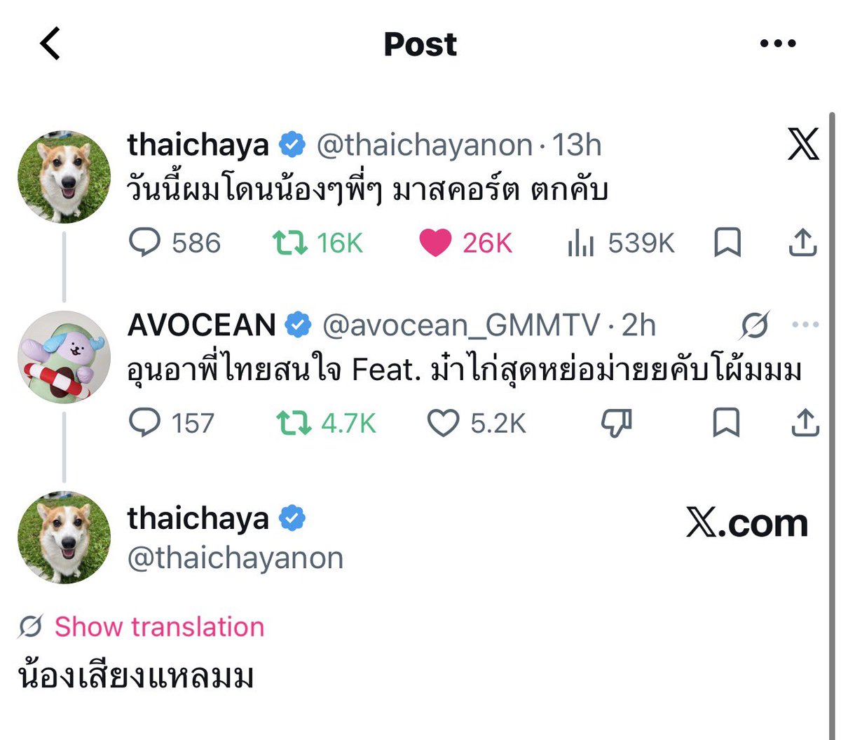 MalDieve99's tweet photo. น้องไทยกะแก๊งมาสคอสน่าย้ากมาก 🥹🥹🥹 https://t.co/TT8NWgQvOW