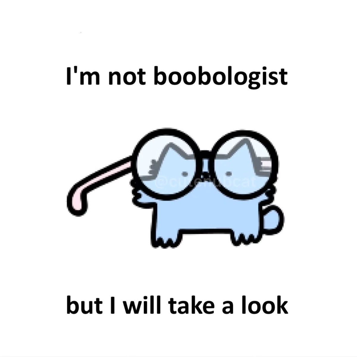 NubCatMemes's tweet photo. https://t.co/3GmkC2pgoJ