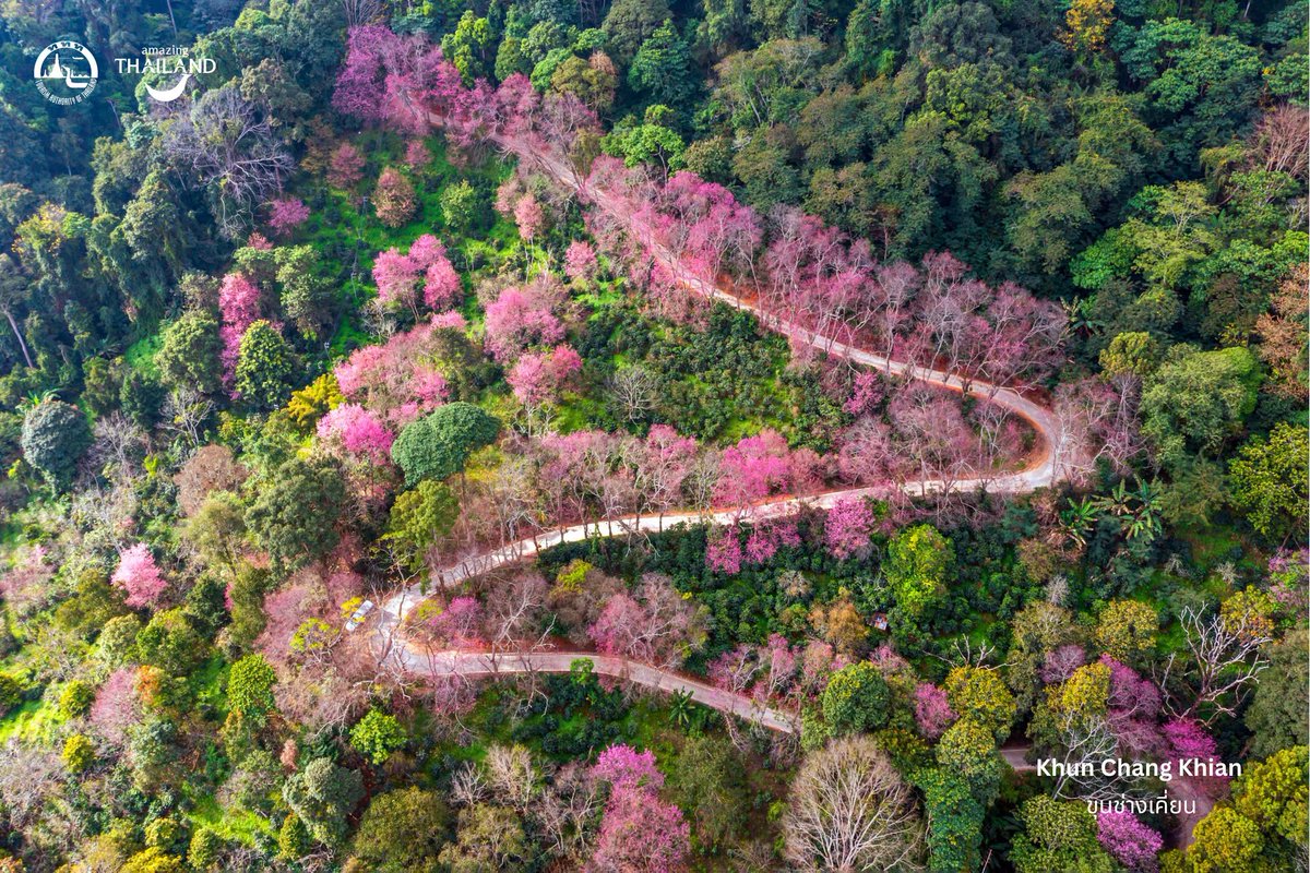 prdthailand's tweet photo. Chiang Mai has ranked Southeast Asia’s safest city for 2026, according to Numbeo, retaining the top spot for the second consecutive year. The ranking reflects the city's quality of life and safety beyond its beautiful landscapes and rich cultural heritage. https://t.co/E6bzhnJ2wg