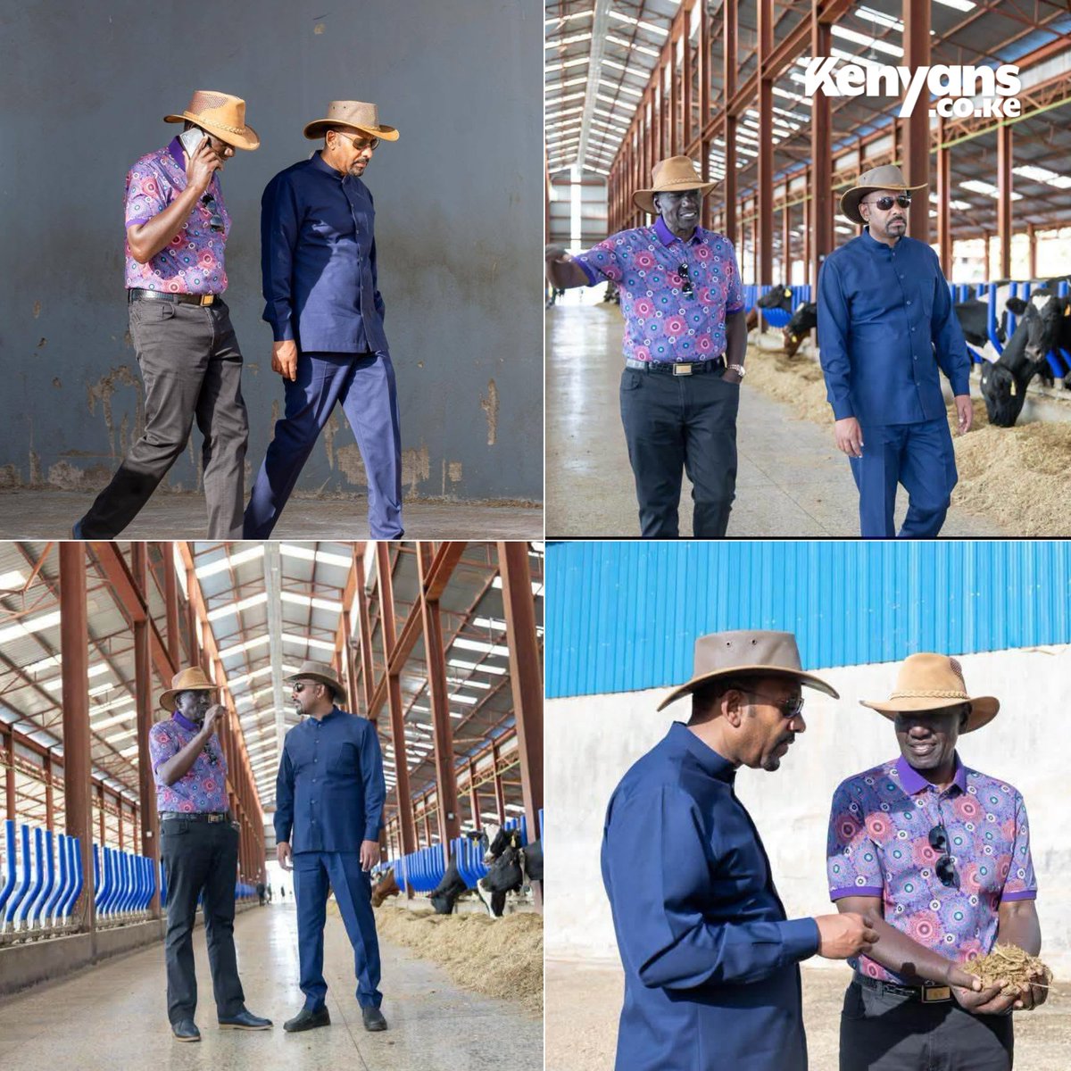 Kenyans's tweet photo. President Ruto takes Ethiopian Prime Minister Abiy Ahmed on a tour of his dairy farm in Uasin Gishu https://t.co/hI1y2iGOUW