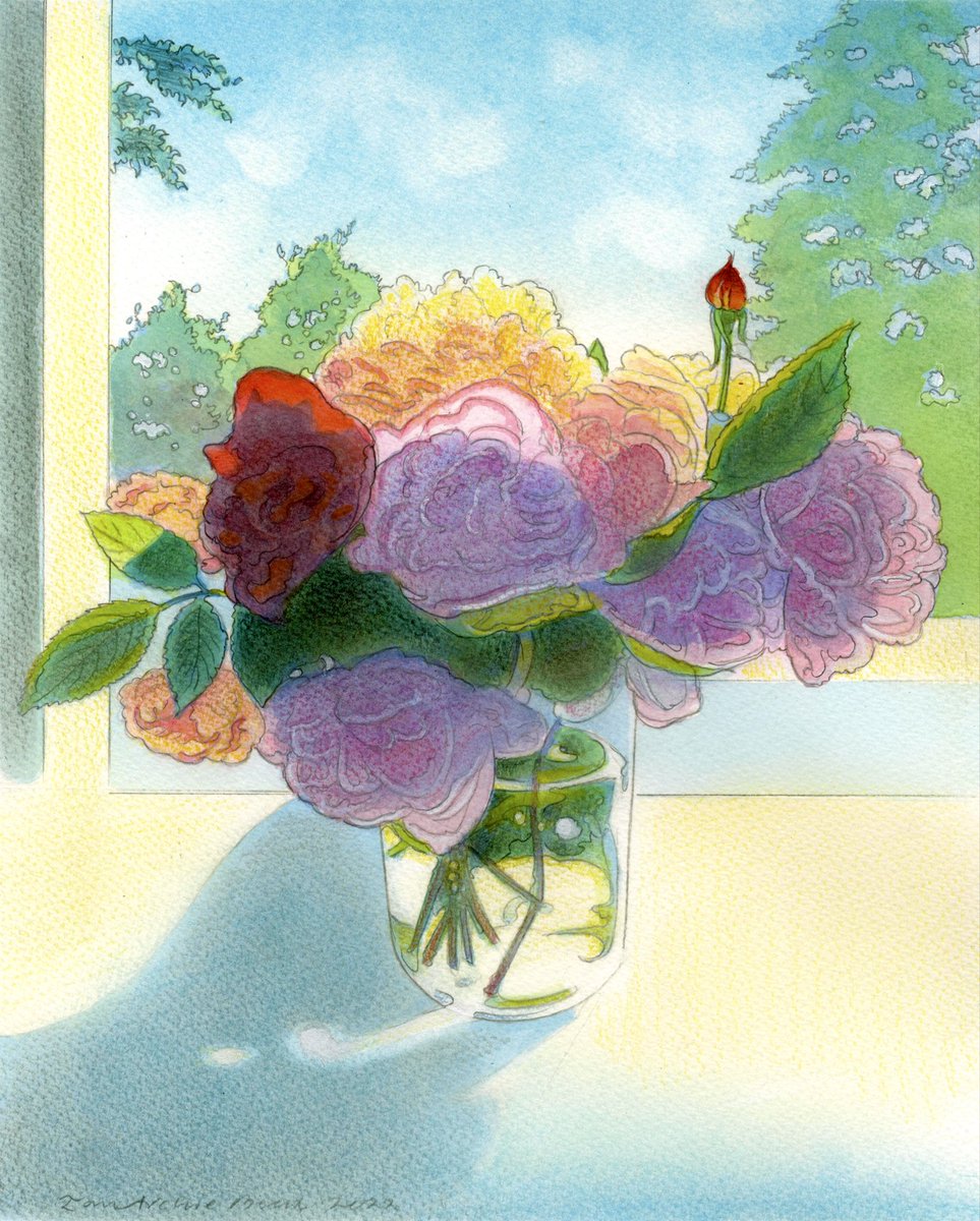ianarchiebeck's tweet photo. Jill’s Roses (Summer of 2022): watercolour and pencil https://t.co/AIFkhmJrZO