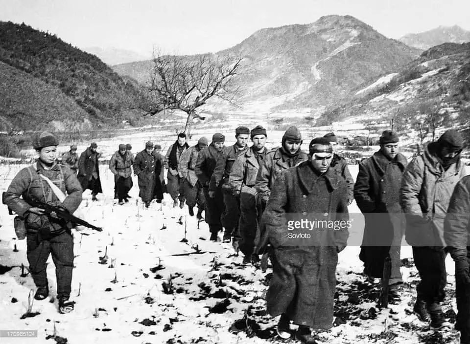 spc345149's tweet photo. 哈哈哈，你们从朝鲜战争开始就一直是美国人的狗，为了你们的主人去朝鲜打仗，然后被我们击败。 https://t.co/GieZfx7MY5