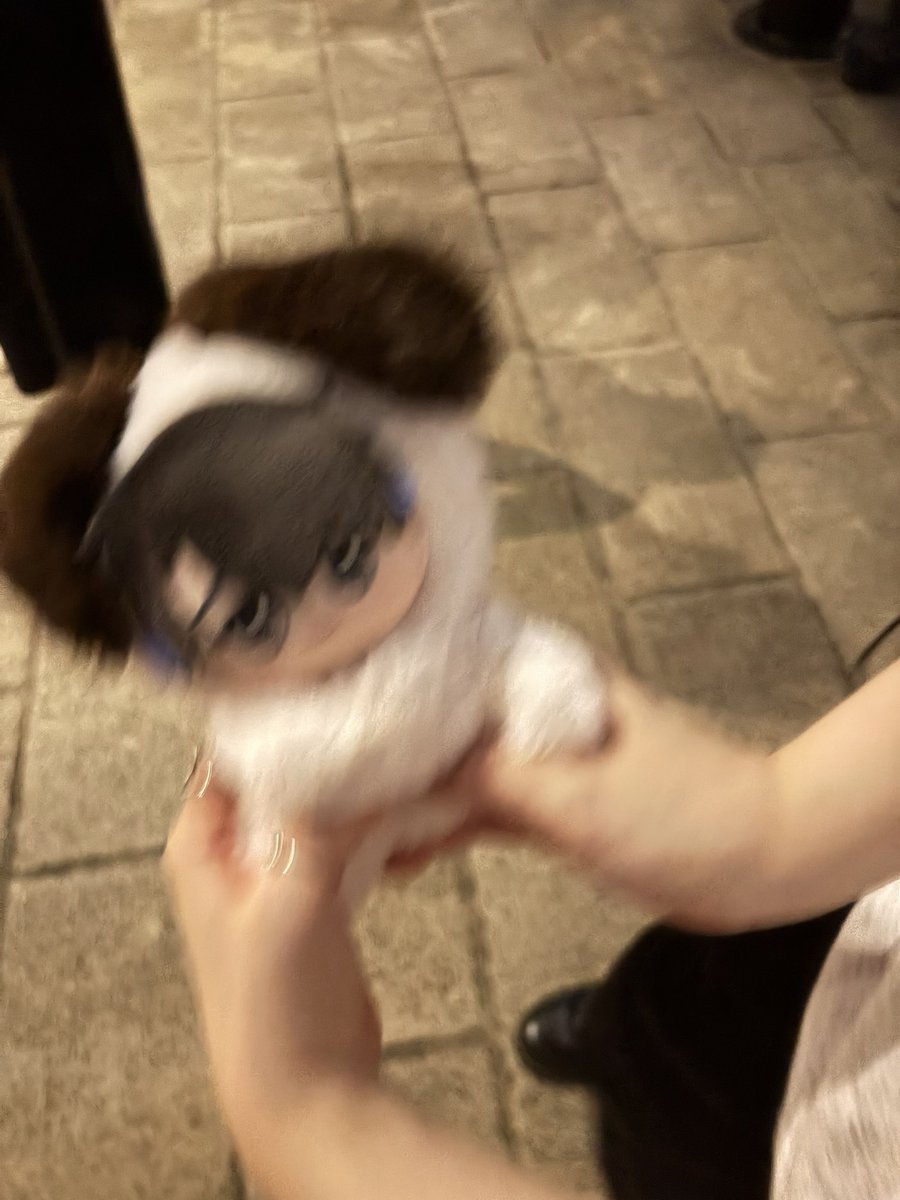 zzzz_mozu's tweet photo. 荒ぶるいぬかい🐶 https://t.co/TRJ1aZNkGt