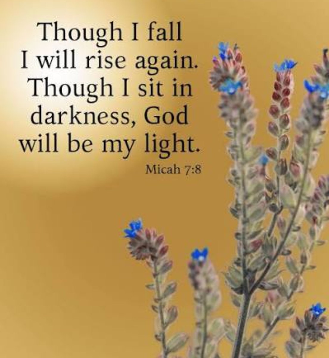 MariaSisis's tweet photo. I am the light of the world. 
He who follows me shall not walk in darkness, but have the light of life.

John 8:12 https://t.co/FwzJdXqXg5