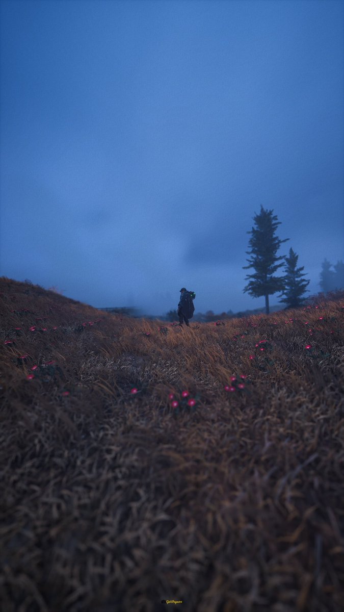 GioWayne86's tweet photo. Hell Is Us ❤️
#HellIsUs
↕️↔️↔️↕️
#VirtualPhotography📸
#VPSAT #TheCapturedCollective #VGPUnite https://t.co/ZeI3oNhLjv