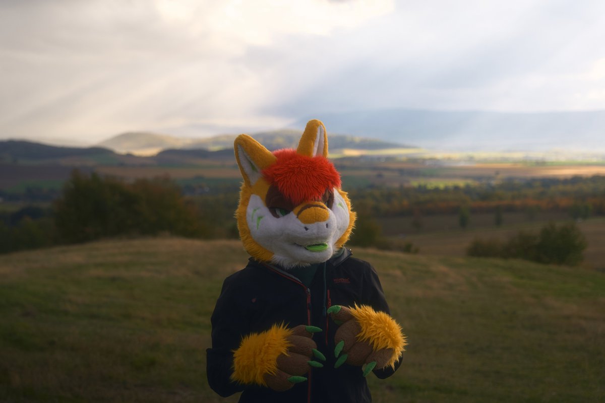FlaviusFepu's tweet photo. Blep

📸: @Wikrex 

#furry #fursuit https://t.co/oTEfHPm9Ix
