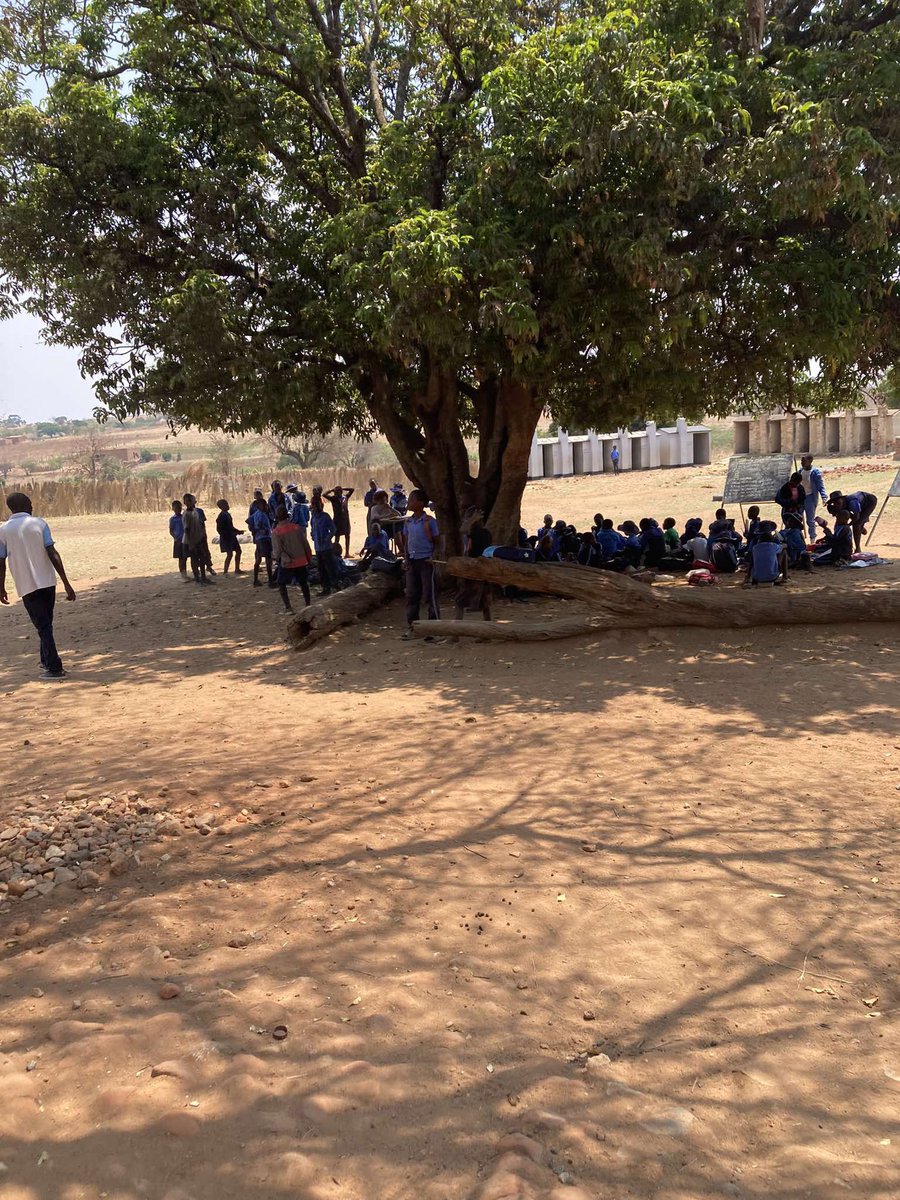 CrimeWatchZW's tweet photo. Hi Crime Watch. Hide ID please. I am from Mapinga, Zvimba South Constituency under MP Dexter Malinganiso.

Tramore Primary School is located along Mutorashanga road. We appeal to the relevant authorities to look into the sad situation at this school.

The school has no proper classrooms. Children are learning either in dilapidated structures, under an open workshop and under trees. There have been several offers from individuals, including Chinese nationals, who are willing to help develop the school. From what we were told, these efforts are being blocked by local political structures linked to ZANU PF.

We are hoping the relevant authorities to investigate this matter so that the children at Tramore Primary School have proper classrooms. The staff also told us that when it rains there are no lessons. It hurts us to see our school in this state in the 21st century. Relevant authorities should take action and develop our school.

@MoPSEZim @MoPSEZW