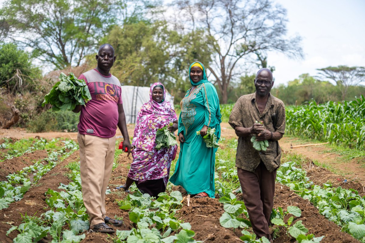 ConcernKenya's tweet photo. For farming families in Tana River County, we’re glad to share: @ADMupdates  and @Concern  are expanding the LEAF partnership to reach 17,500 farmers. 

 Read More: 
https://t.co/UgUY7BqkDG https://t.co/JDaj5gdfEr