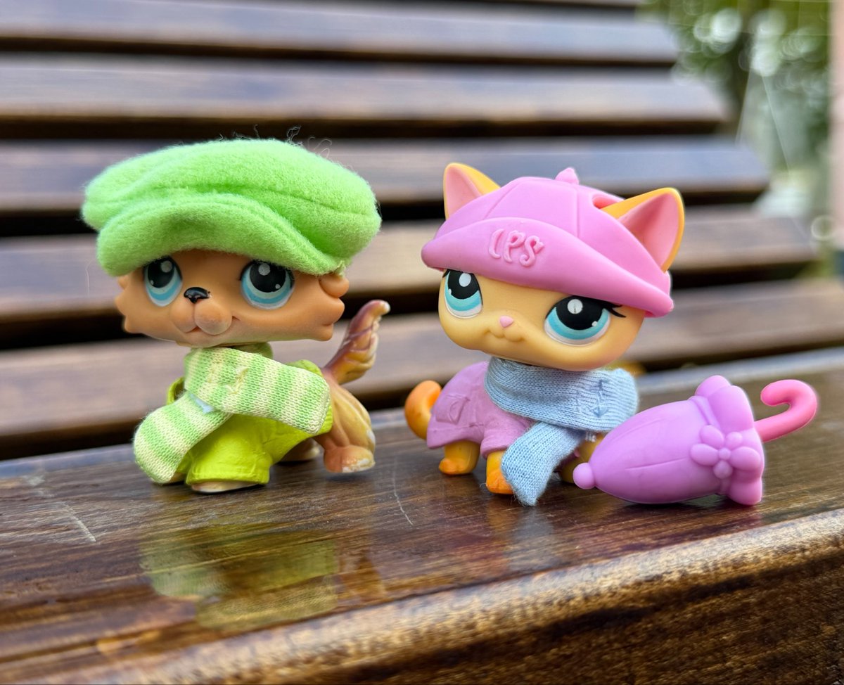 xobimbonympho's tweet photo. it’s been raining for weeks https://t.co/xQhxU6abO5