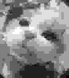 johnrees94 tweet picture