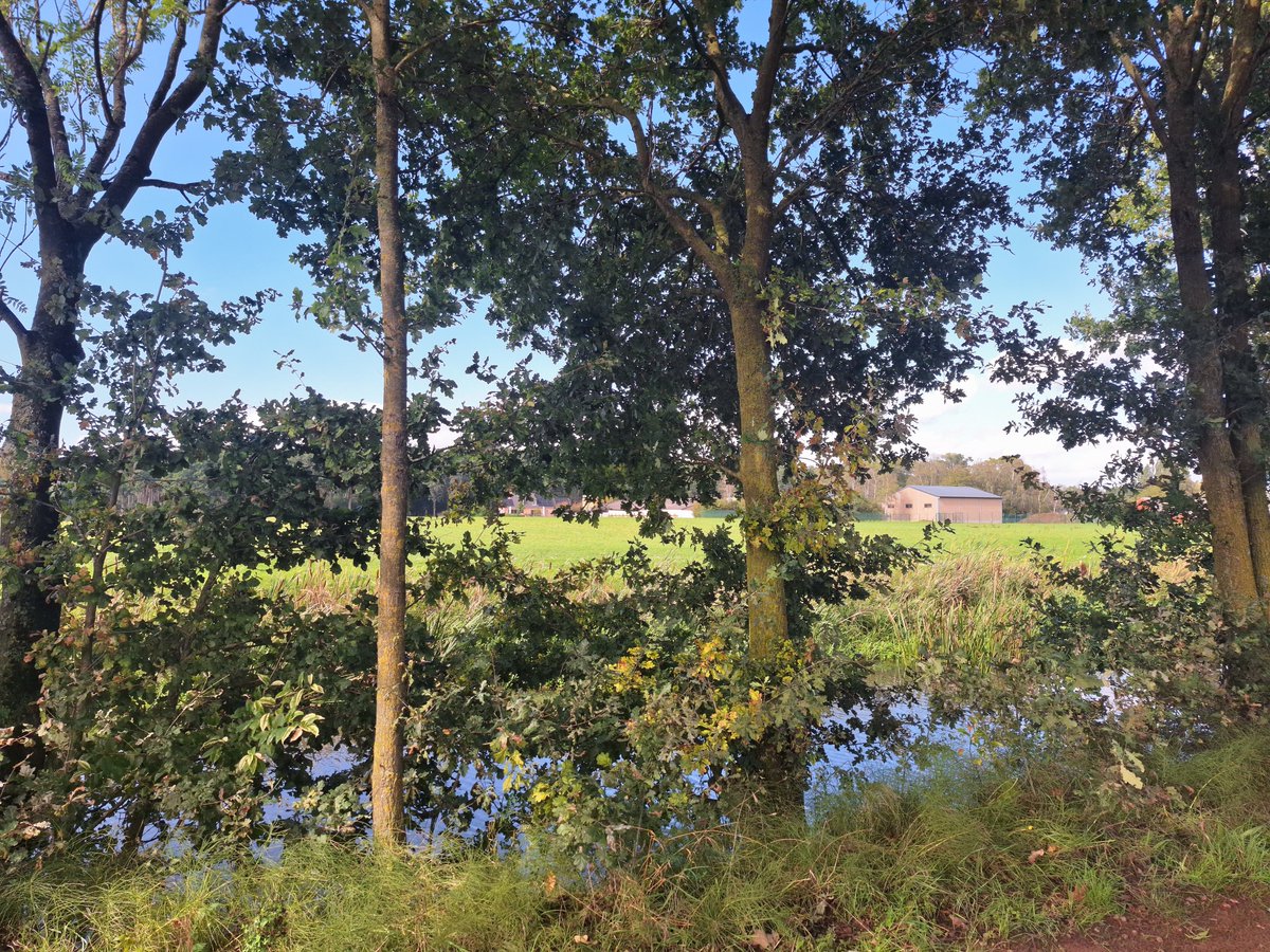 Aesthetic1333's tweet photo. .

Framed by ancient trees, the world opens up into fields of gold and endless blue skies.

Finding poetry in the stillness of a perfect afternoon. 🌳🍃

#Serenity #NaturePhotography #CalmVibes

. https://t.co/H4JLO9RLC2