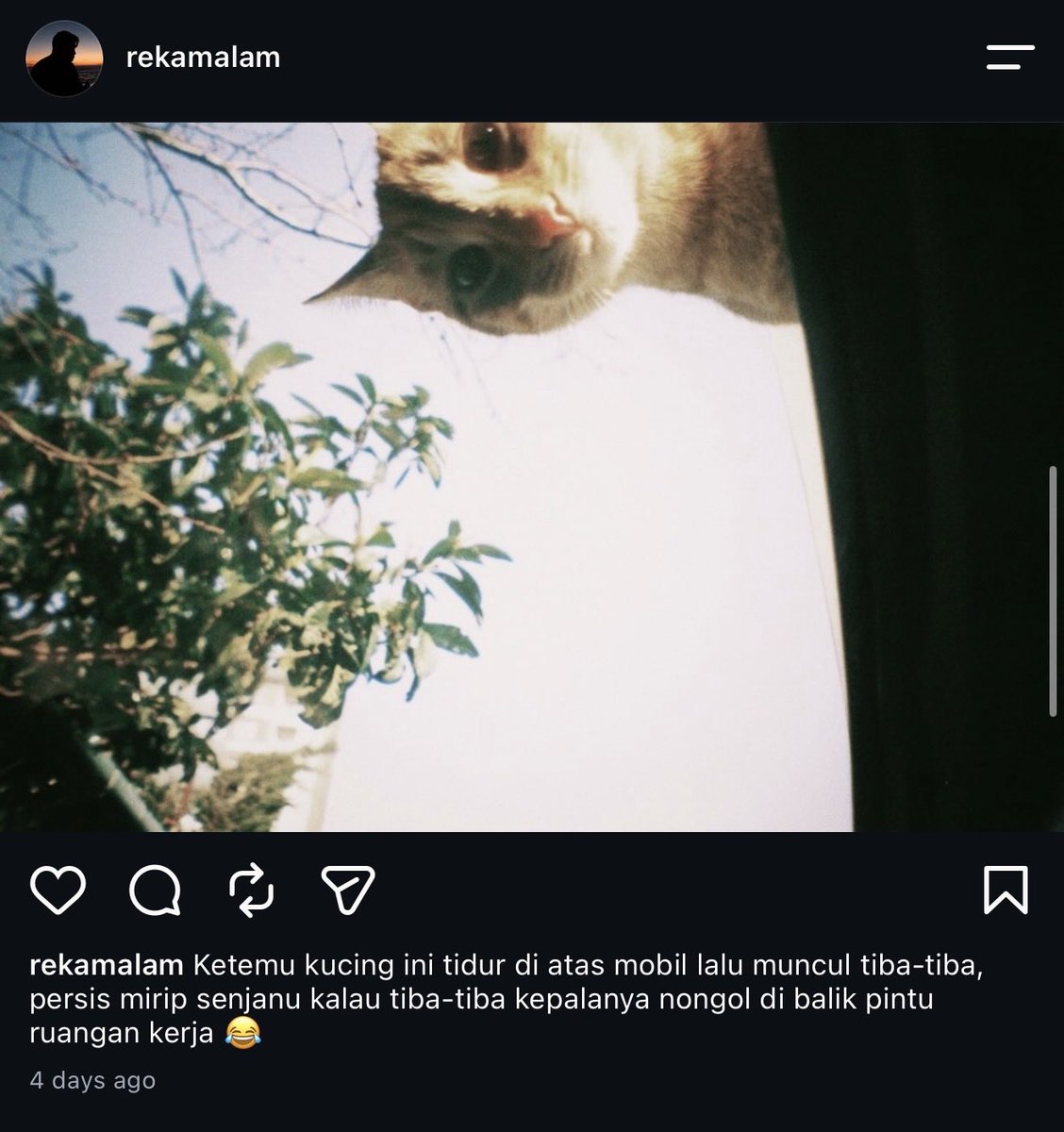 lertkosuemn's tweet photo. 27. Ini pas masih cinta sendirian ya, dok? https://t.co/j6iZYCmwtR