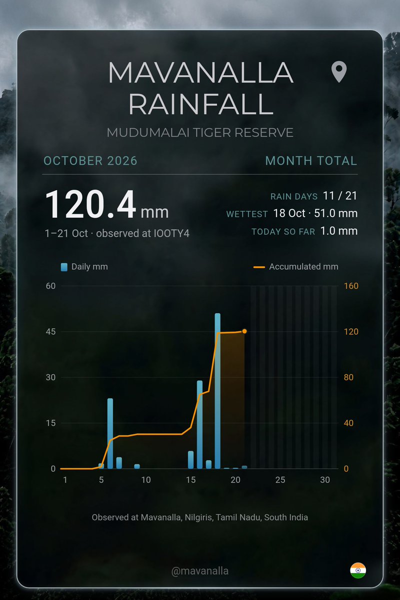 Mavanalla's tweet photo. October rain so far in the Tiger Reserve.

More rain is forecast for tonight and tomorrow.

#Mavanalla #Masinagudi #Nilgiris #Mudumalai #Monsoon #Rainfall https://t.co/eKjLjSxCwU