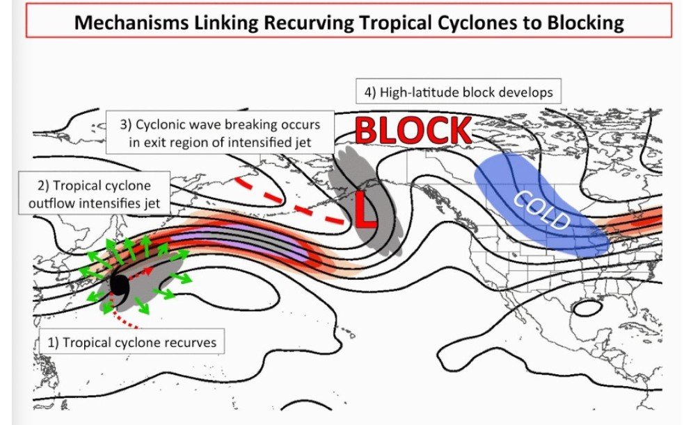 naturemccurdy's tweet photo. We do need to watch this recurving typhoon for colder trends into early November. Something the modeling is not picking up on yet. It could feature the coldest air yet. But I feel once that passes we may warm up again. Time will tell.. 

#winteriscoming https://t.co/hkAmnspxmw