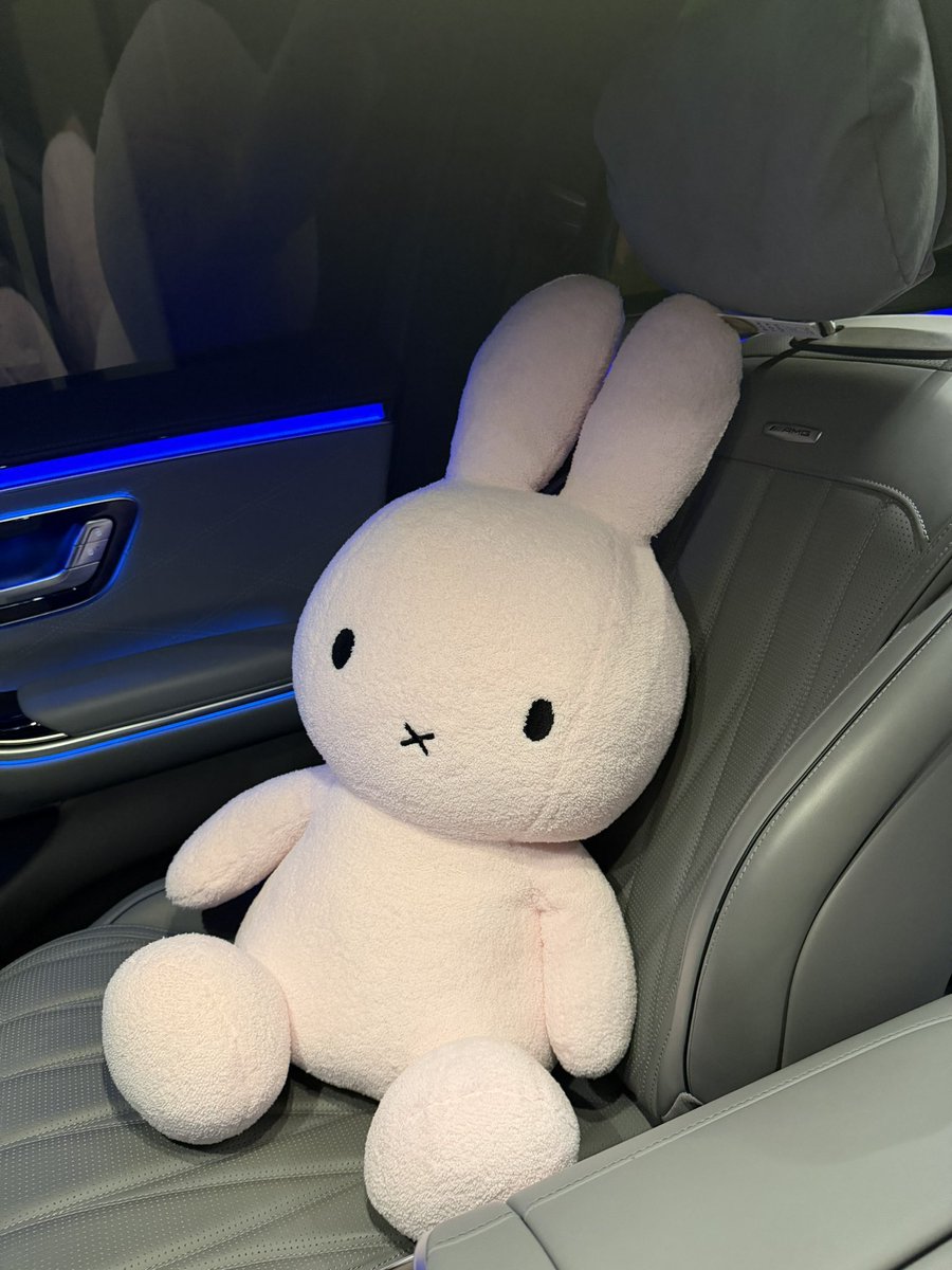 eunjibun's tweet photo. strawberry milk miffy i love u so much (╥﹏╥) https://t.co/cCpYu5hK3C