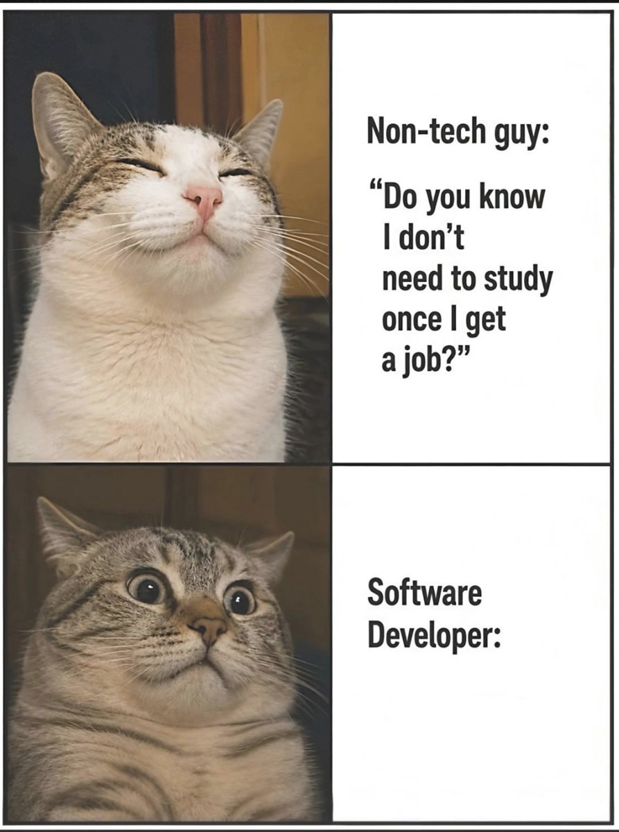 mannudotdev's tweet photo. Software Developer https://t.co/6wMBgOqLUe