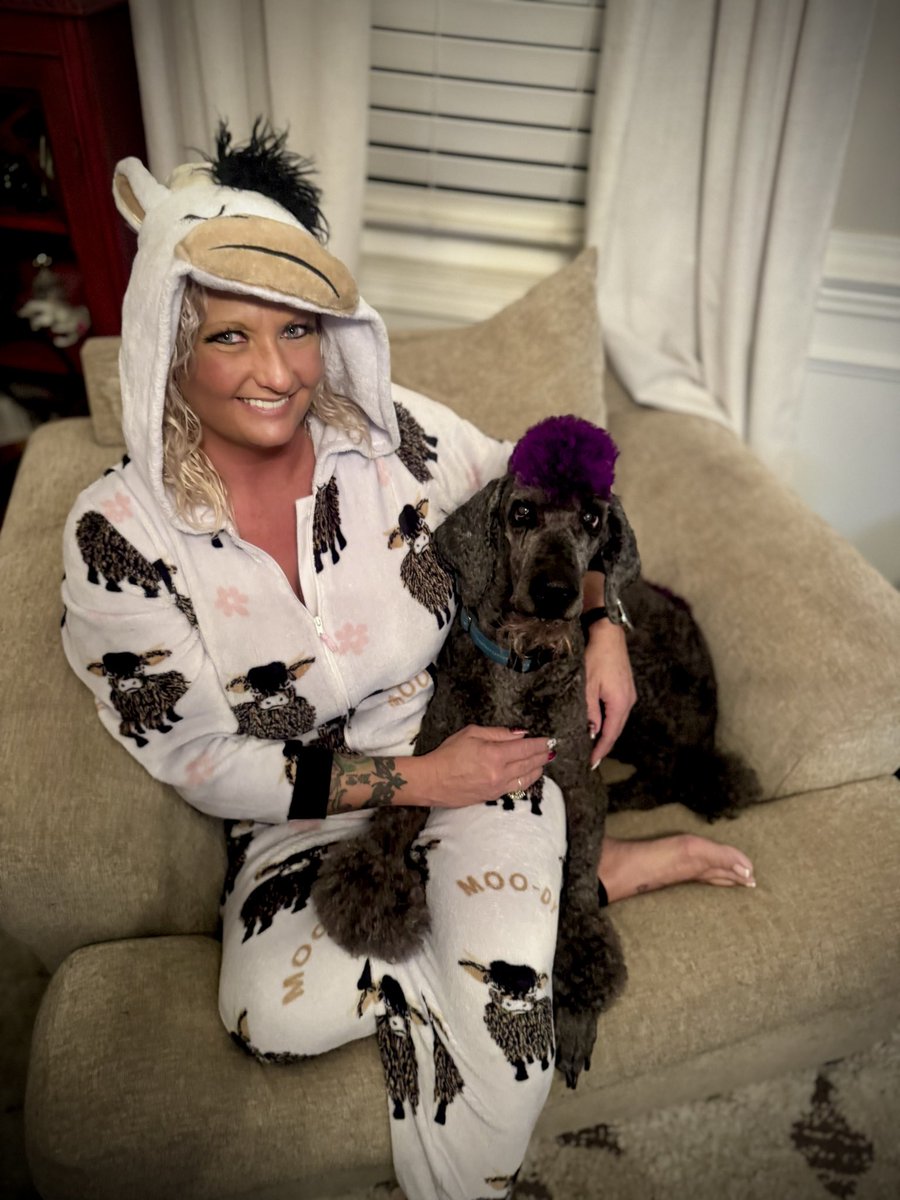 BlairBrookfield's tweet photo. It’s onesie season!! 
#onesie #standardpoodle https://t.co/m77V153jdt
