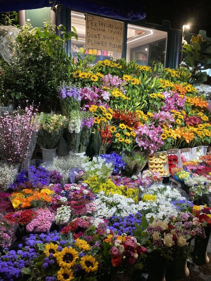 FLOWERS3700's tweet photo. https://t.co/wIS7cdQBFZ