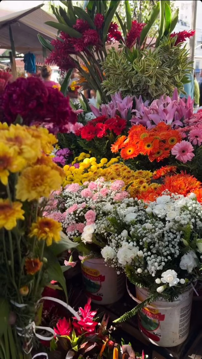 FLOWERS3700's tweet photo. https://t.co/wIS7cdQBFZ