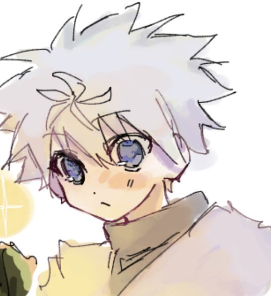 sasamonaca's tweet photo. #hxh #hxhfanart https://t.co/PLmzB6Km4r