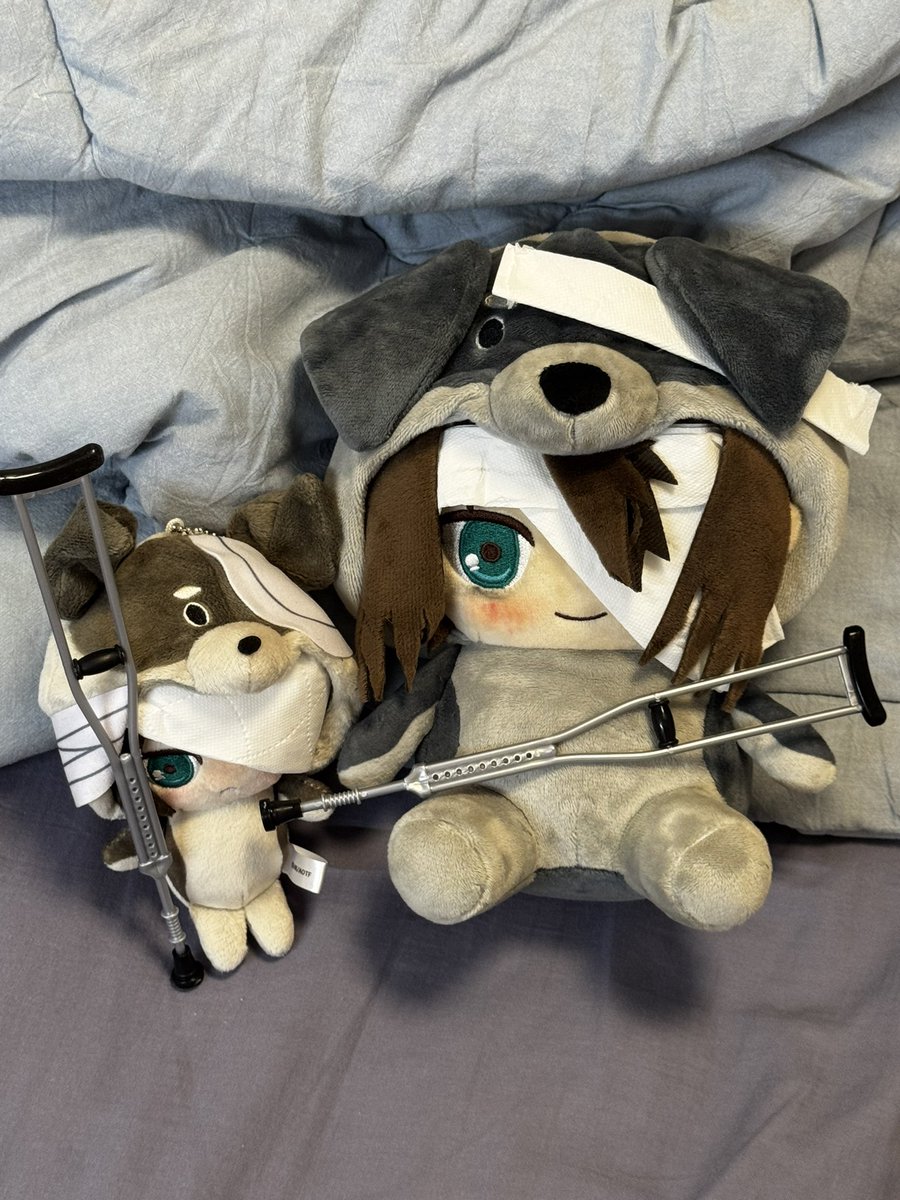luokejiii's tweet photo. 🩼 https://t.co/oe2iqJiZui