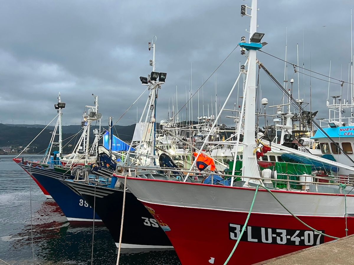 IPesqueras's tweet photo. #Visión2040 | El naval europeo critica que la Visión 2040 perpetúe las barreras normativas y financieras que impiden la descarbonización del sector

🔹 @seaeurope lamenta la falta de ambición de la Comisión y critica la "incoherencia" de sus políticas 

https://t.co/Ctcdc7xP01 https://t.co/NUfw9dcrdr