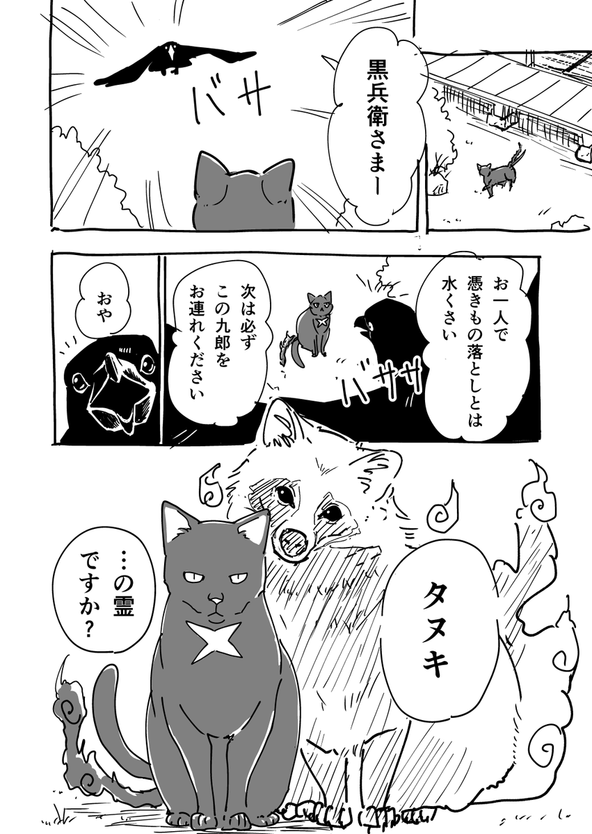 Totsukishiya's tweet photo. タヌキを成仏させたい黒猫の話（0/7）

#漫画が読めるハッシュタグ #オリジナル漫画 https://t.co/9yl9H5DA91