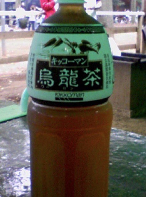 yoi_yoi_good's tweet photo. 元モーニング娘。一期生の飯田圭織さんといえばバスツアーが有名ですよね
ここであらためておさらいしてみよう

・メインはバーベキュー用のソーセージと肉（肉は一人一枚。ソーセージは１人一本。）
・8人テーブルに1.5リットルの烏龍茶一本（キッコーマン製）
・デザートはバナナ切り落とし（約7名のデーブルに付き3本分のバナナ切り落としが皿に盛られて用意された）。
・お楽しみ企画は寂びれた遊園地に在りそうなジャンボ迷路。食後に行われた。
・時間が推していた為に、約半数のヲタをジャンボ迷路に放置したまま迷路出口で次のイベント開始。
・飯田とヲタで笹の葉サラサラを合唱
・ヲタ、飯田のトーク中に号泣（原因は不明）
・ビールは別売（一杯500円？）
・最後にバスが飯田の周りをぐるっと一周回って帰路につく
・バナナを一人二本食べたヲタがスタッフに人として失格とか言われて叱られた

飯田圭織さんは世にキッコーマンの烏龍茶を認識させた事でも有名