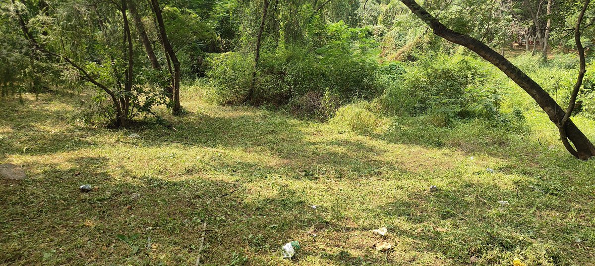 CISFTraining's tweet photo. 🇮🇳 ADVANCING THE MISSION OF SWACHHATA | SPECIAL CAMPAIGN 6

Reaffirming its commitment to the vision of Swachh Bharat, CISF NISA, Hyderabad,continues cleanliness activities focused on improving hygiene &amp; ensuring the systematic upkeep of its premises.
#SpecialCampaign6 @CISFHQrs https://t.co/WGnOHHJMb9