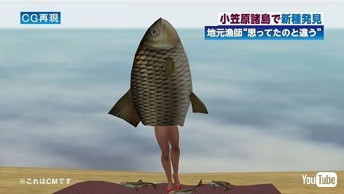 K_Nemain's tweet photo. @namunamunamoko HOTLIMITのCMじゃないですか？
私が小さい頃は、日曜午前の子供向けテレビのCMでかなり流れていたので https://t.co/C1THHZ23ob