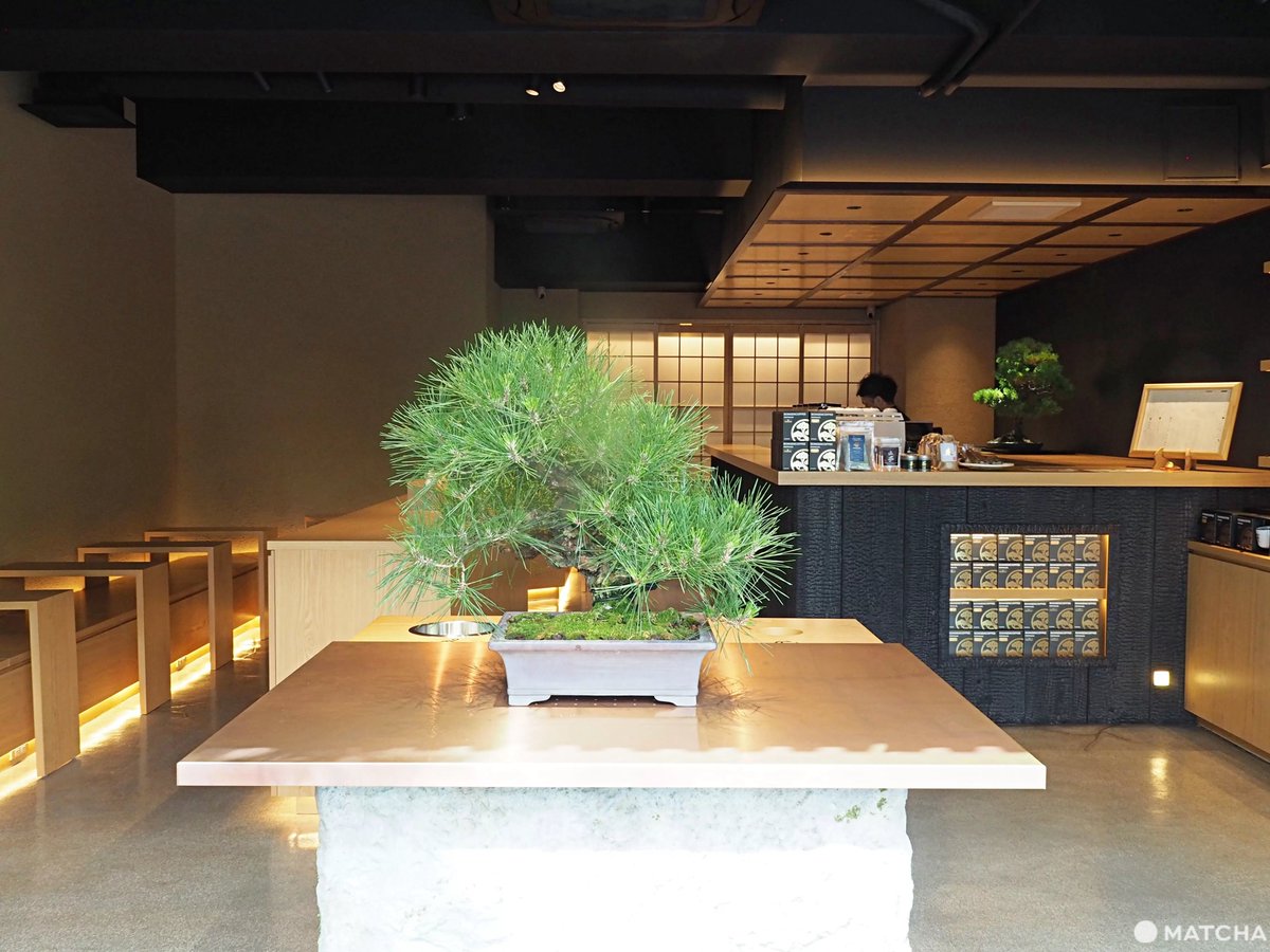 MATCHA_global's tweet photo. Interested in bonsai trees? At BONGEN COFFEE in Ginza and Nihonbashi, admire rare bonsai trees—some over 200 years old—paired with matcha lattes, world-class specialty coffee, and Japanese sweets🪴☕ 👉https://t.co/WENUmAB6bS https://t.co/WZed1wgEyw