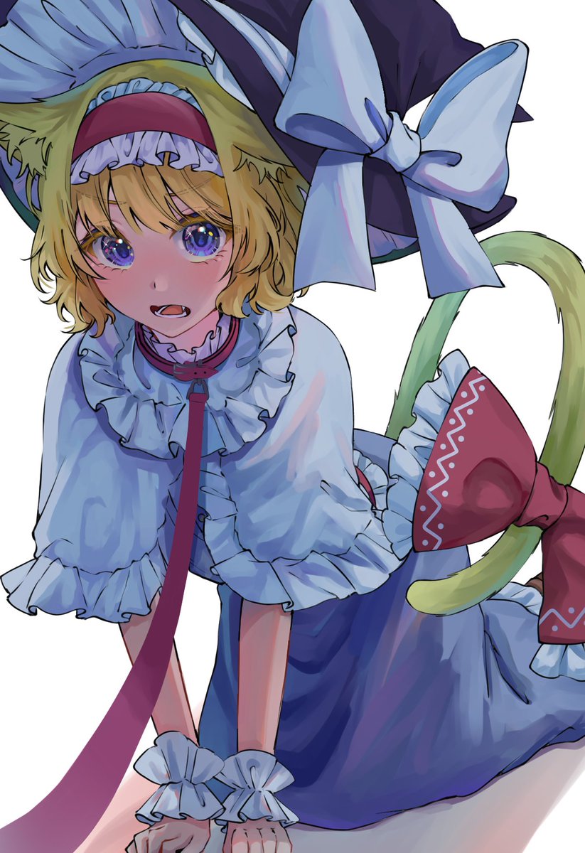 _jng1_'s tweet photo. にゃりす https://t.co/ujneppSEFx