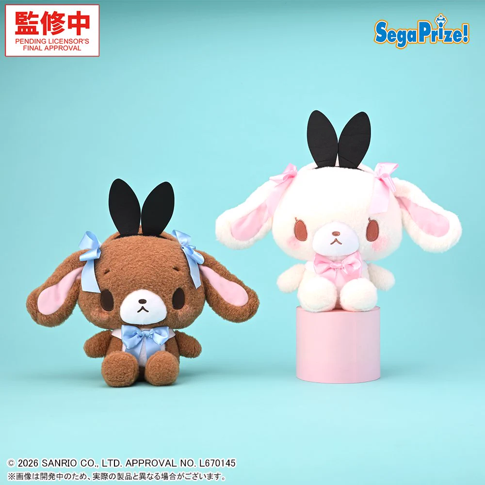 シュガーバニーズ情報🐰 on X: 