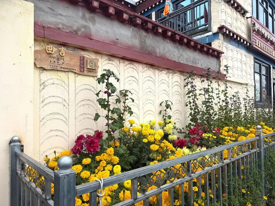 TibetNews11's tweet photo. Con l'arrivo della stagione della Rugiada Bianca, la luce #autunnale è semplicemente perfetta. Nel villaggio di Xueba, nella cittadina di Zengqi, contea di Sangri, a un'altitudine di 3.900 metri, le sorgenti termali di Pamu e Juequka sono pervase dal vapore, attirando numerosi turisti. I fiori sbocciano nei cortili delle pensioni e i turisti siedono davanti alle bancarelle di cibo, creando un'atmosfera vivace ovunque.