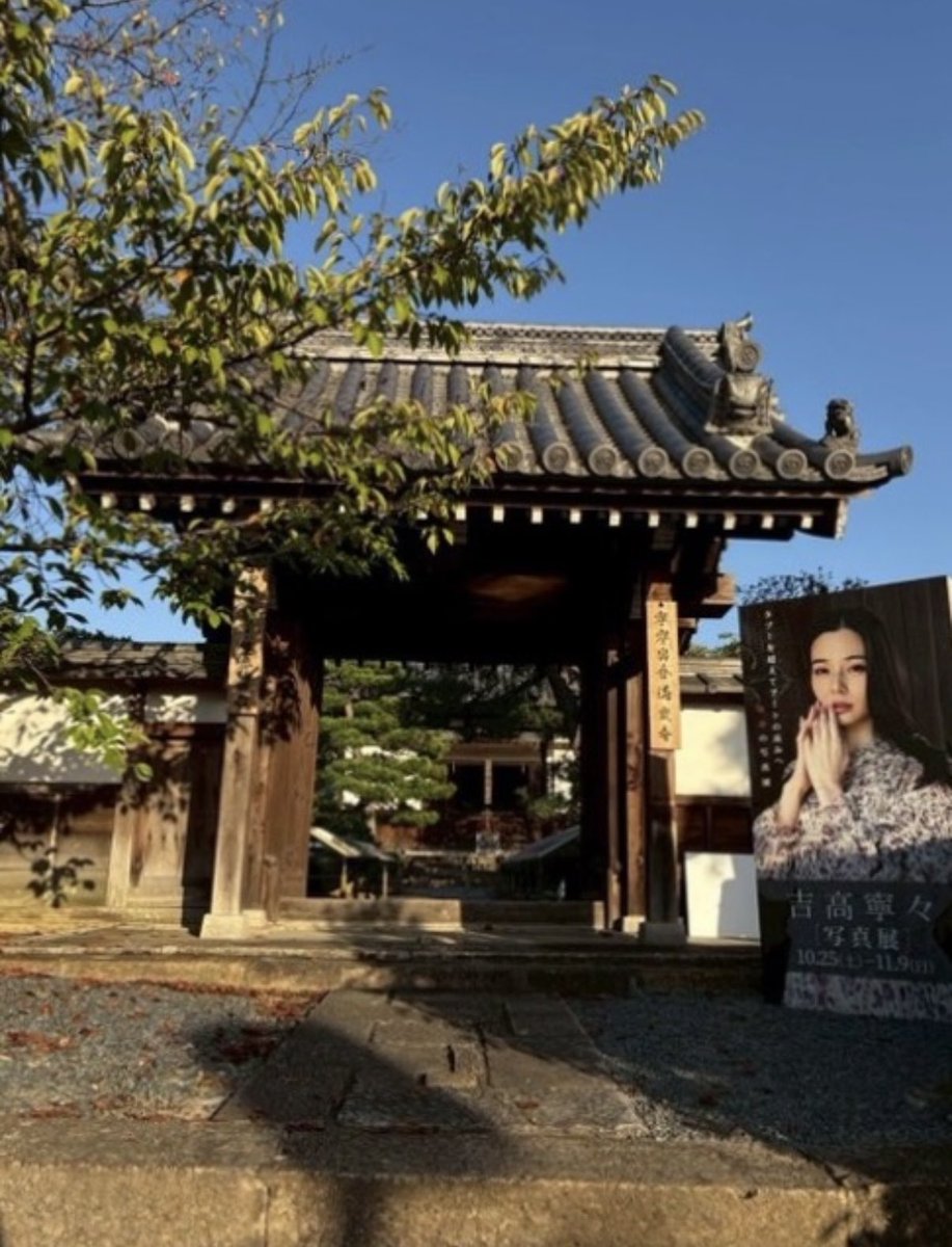 Nene Yoshitaka