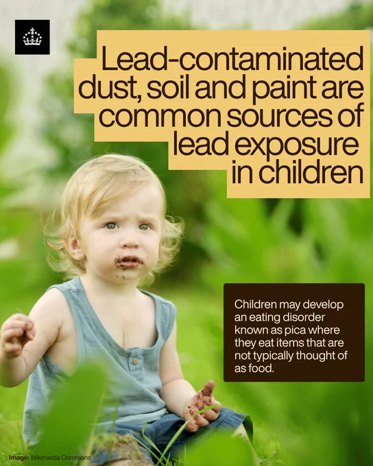 A child sitting outdoors surrounded by grass, with dirt on their hands and face. The text reads: "Lead-contaminated dust, soil, and paint are common sources of lead exposure in children. Children may develop an eating disorder known as pica where they eat items that are not typically thought of as food."