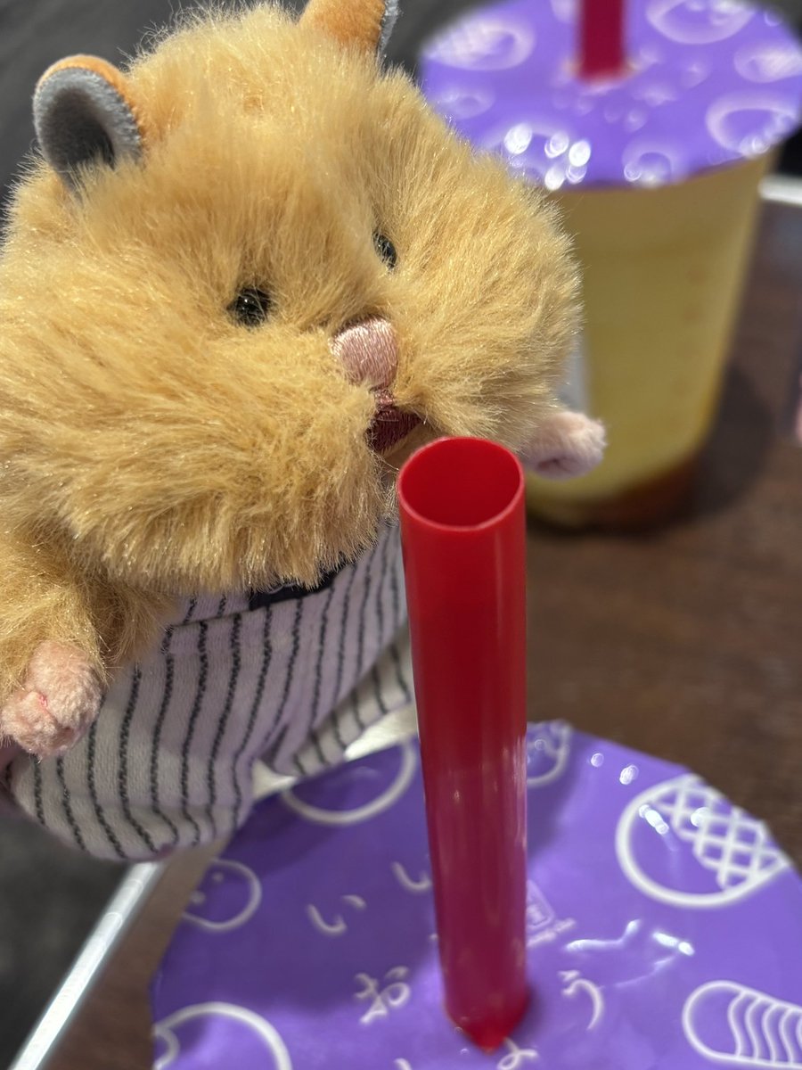 jj_arabesque's tweet photo. 🐹公家
「あともうすこちなの…ﾌﾟﾙﾌﾟﾙ)))))」

届きそうで届かないもどかしい距離🔚

#はむにぎり
#ぬい撮り
#ゴンチャ https://t.co/IpIlaEZLBz
