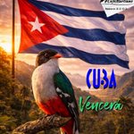 Photo by ❤️Café Martiano 🇨🇺 (@cafemartiano)