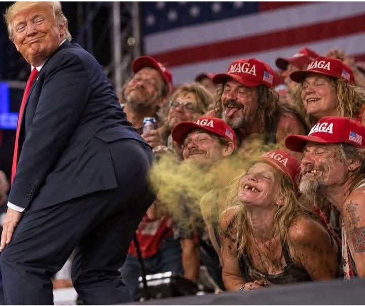 TrevorHowlett1's tweet photo. Suck it up you maga bastards  it's your life. https://t.co/VWl2MeNlNq