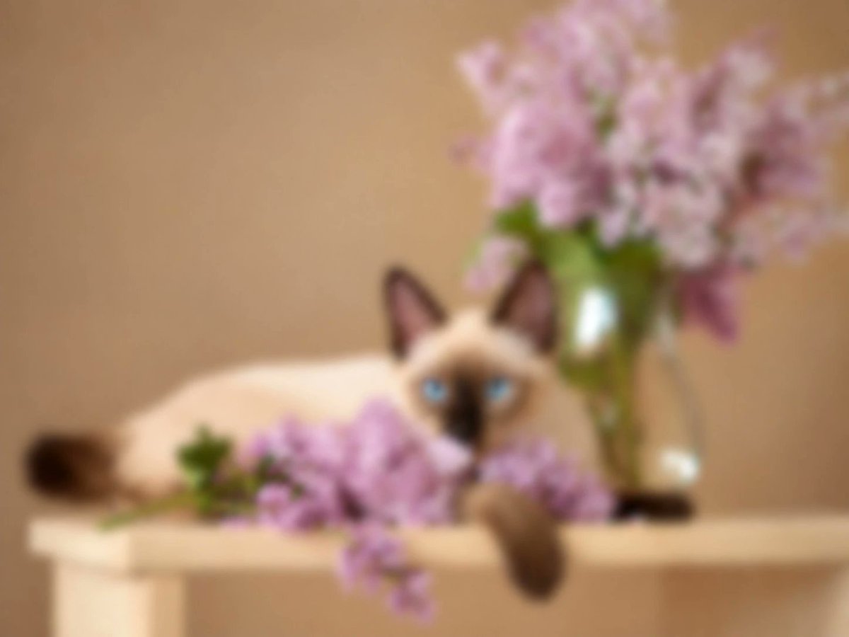 EzMakerAI's tweet photo. Bring your blurry images back into focus
https://t.co/XXUSDJ9upW https://t.co/T147d06jng