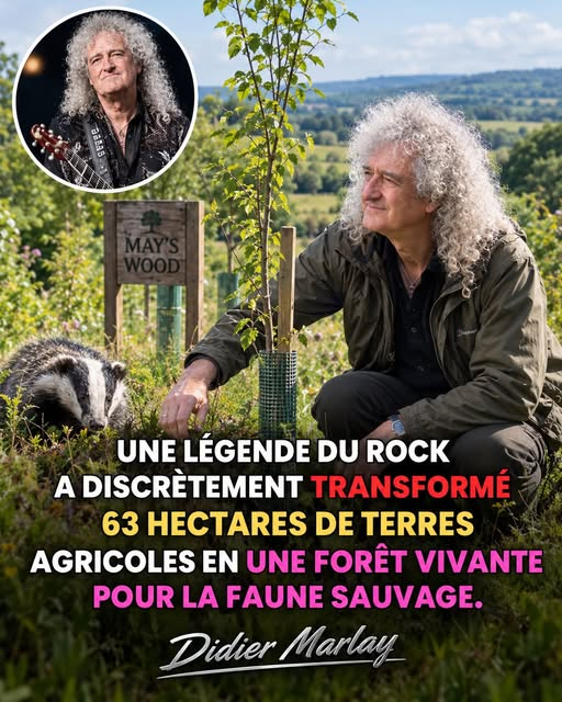 Loovenelle's tweet photo. Dans ce monde qui va mal, il existe heureusement de belles initiatives positives qui réchauffent le cœur... comme celle-ci!
En 2013, Brian May (guitariste de #Queen) a transformé 63 hectares de terres agricoles intensives en une forêt de plus de 100 000 arbres https://t.co/DLanKno5k4