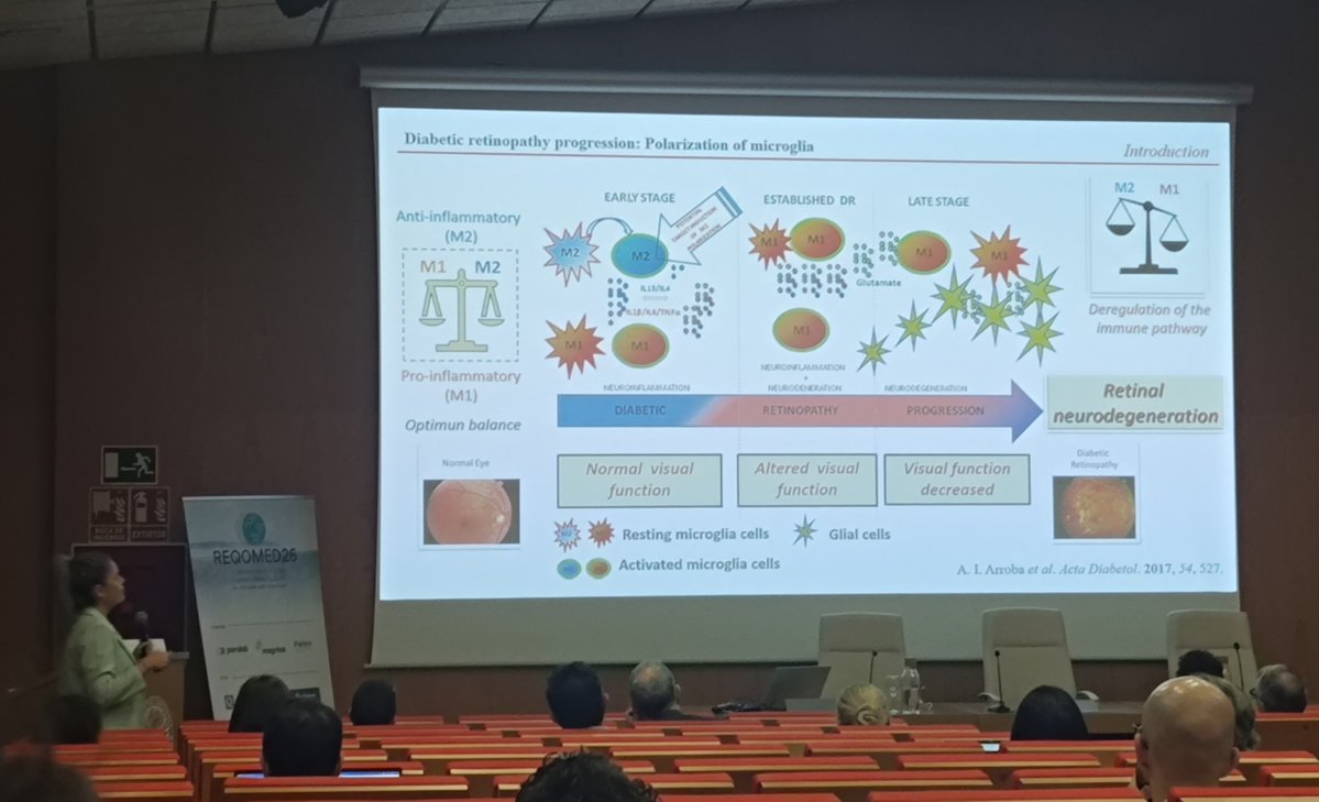 REQOMED26's tweet photo. Dr. Elena M. Sánchez from @unisevilla talks about iminoglycolipids on anti-inflamatory potential 
#reqomes2026 https://t.co/aj1svanEa2