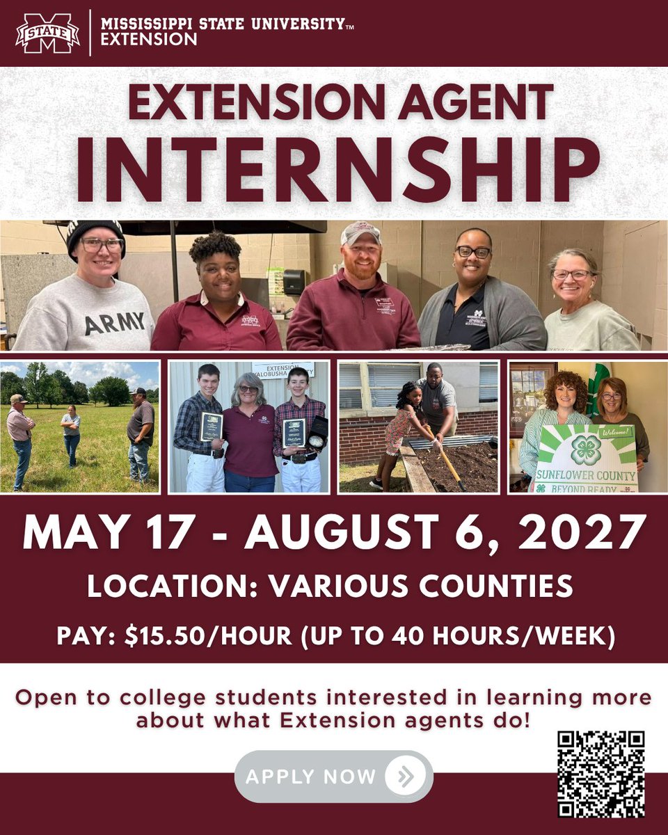 MSUExtService's tweet photo. We are looking for juniors and seniors in college who are eager to gain firsthand experience as Extension agents this summer!

This is a paid internship where they will learn about the diverse roles and responsibilities of an Extension agent.

Learn more: https://t.co/FmPcHa2HUe https://t.co/oCBk6mFCFz