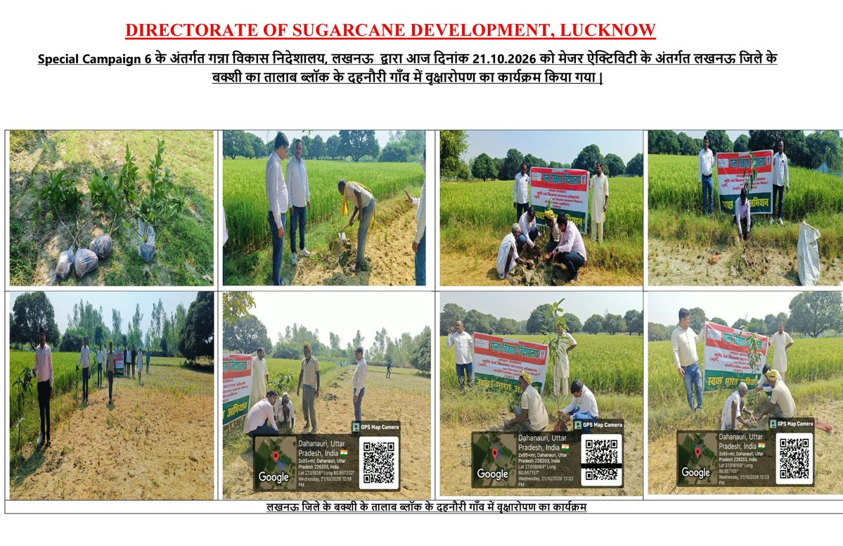DteSugarcanedev's tweet photo. Special Campaign 6 के अंतर्गत गन्ना विकास निदेशालय, लखनऊ द्वारा आज दिनांक 21.10.2026 को मेजर ऐक्टिविटी के अंतर्गत लखनऊ जिले के बक्शी का तालाब ब्लॉक के दहनौरी गाँव में वृक्षारोपण का कार्यक्रम किया गया |
@AgriGoI https://t.co/ku6In2REp0