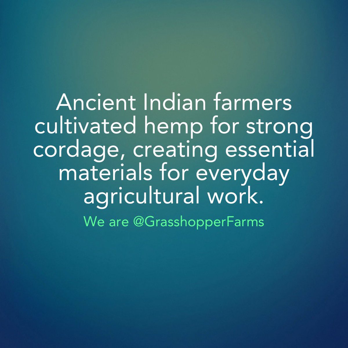 willwbowden's tweet photo. Ancient Indian farmers cultivated hemp for strong cordage, creating essential materials for everyday agricultural work.
#cannabishistory #industrialhemp
We are @GrasshopperFarms https://t.co/TLPYi3gSS3