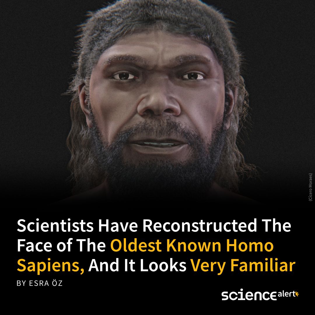 ScienceAlert's tweet photo. A face built from 315,000-year-old bones. It would not stand out in today's crowd. But compare the fossil's ancient braincase to the modern-looking face, and something doesn't add up. 🔗 https://t.co/RxXWXzJU6U https://t.co/qVwMJpICVg