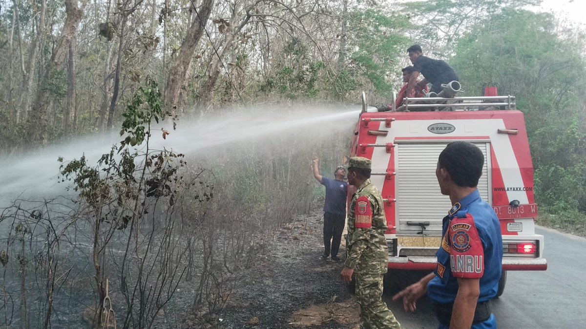 KODIM1413BUTON_'s tweet photo. Bergerak Cepat Tangani Kebakaran, Gabungan Tim Babinsa-Damkar-BNPB Selamatkan Lahan Milik Warga Bernama La Munati di Kelurahan Busoa, Kecamatan Batauga, Kabupaten Buton Selatan, Rabu (21/10/2026). 

#tniad
#dispenad
#puspentni
#TNIindonesia
#tetapsemangat
#bekerjaikhlas https://t.co/URQs2LWAKh