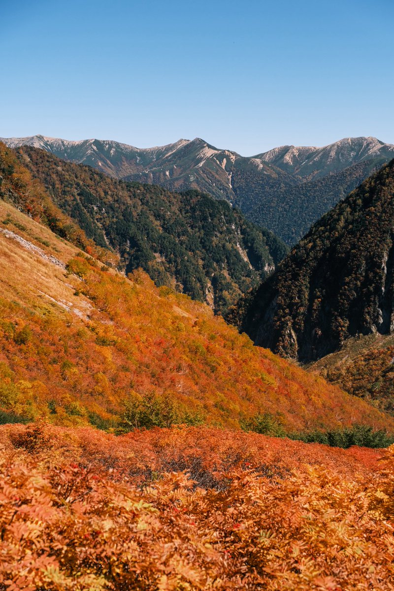 yukidajarra1's tweet photo. 今年のソロ登山は涸沢で終了です
行かせてくれた奥さんに感謝！！

来年はどこに行こうかな〜
子供とも色々なところいきたい！ https://t.co/yVqLDPxhhK