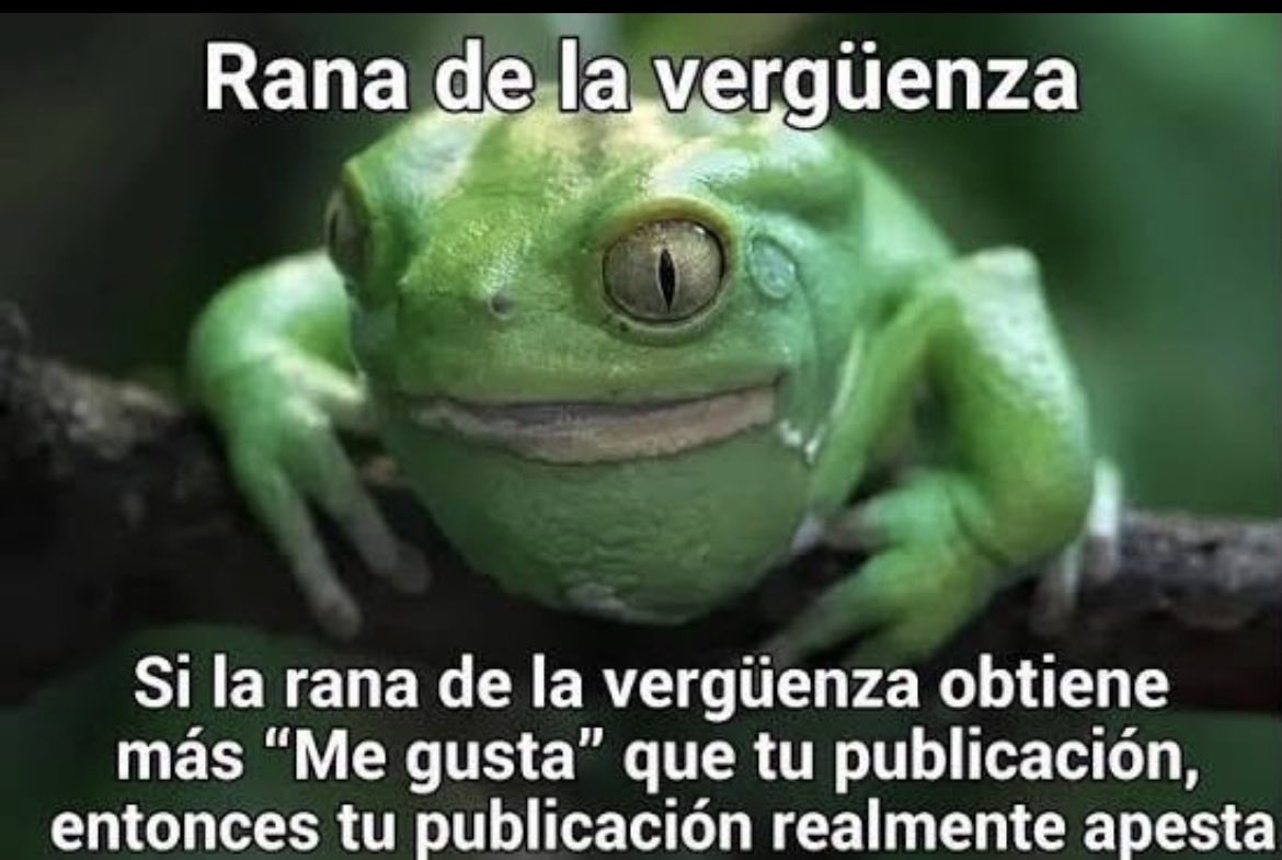 blas_lezo69's tweet photo. @SarahPerezSanta https://t.co/W70hUWD7IT