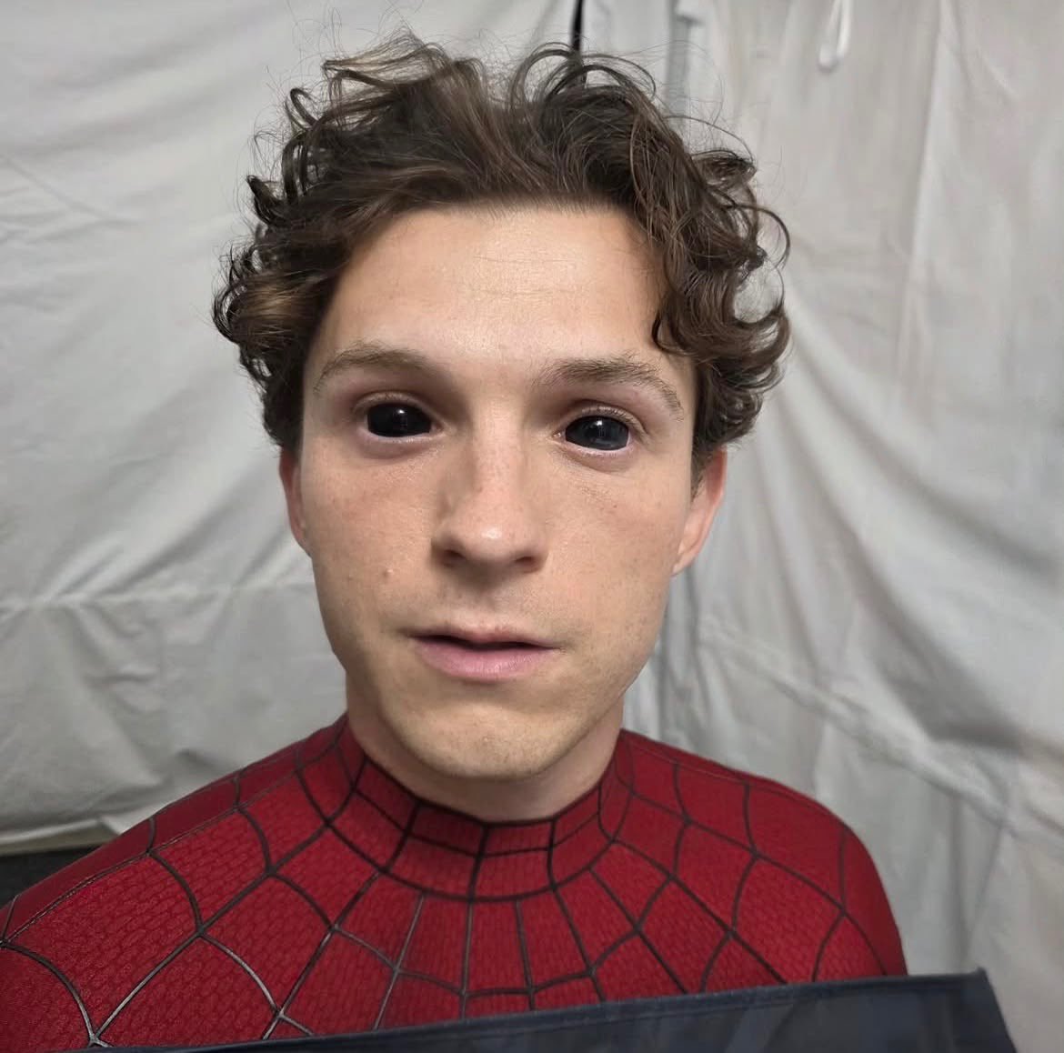 lottieleest's tweet photo. pushing my spider-lottie agenda https://t.co/kDo6WagnaO